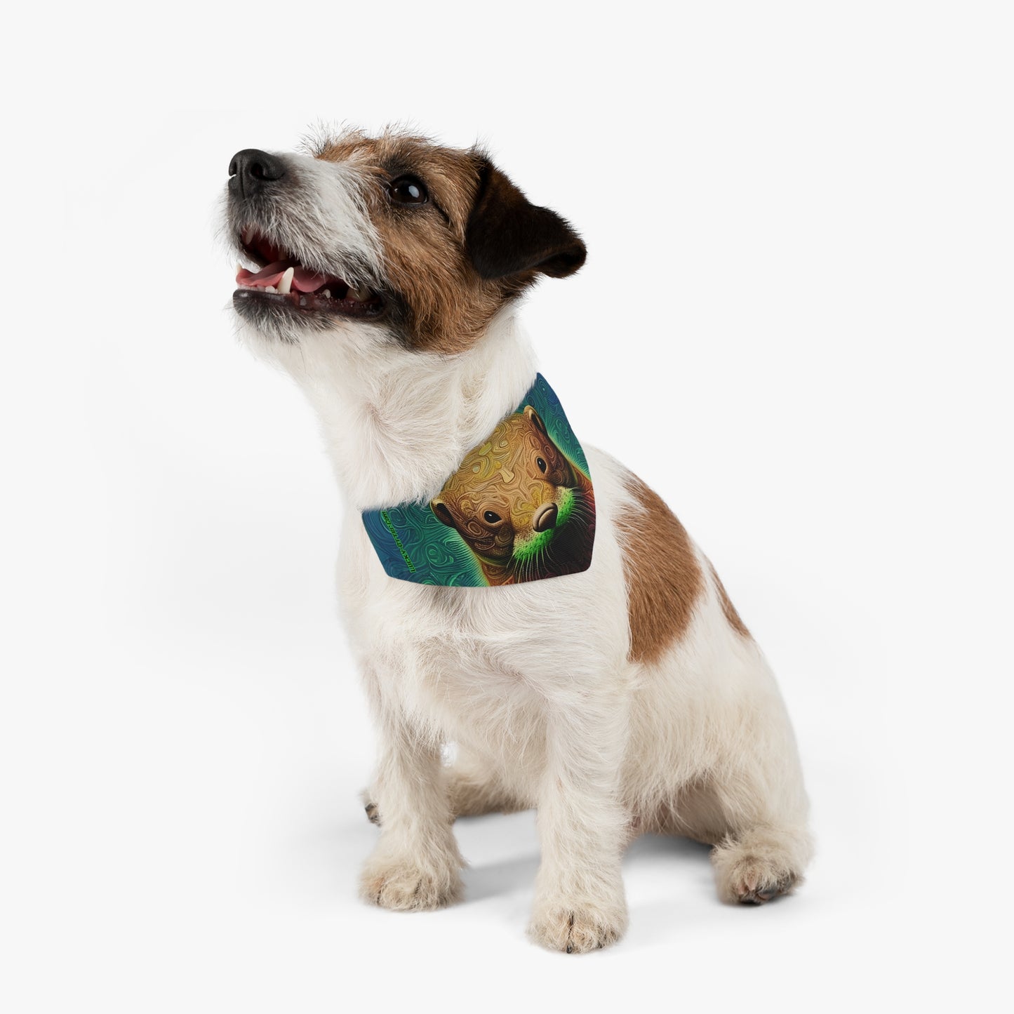 Lucky-Otter Pet Bandana Collar